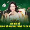 Typhu88 – Link Vào Trang Chủ Nhà Cái Typhu88 Mới